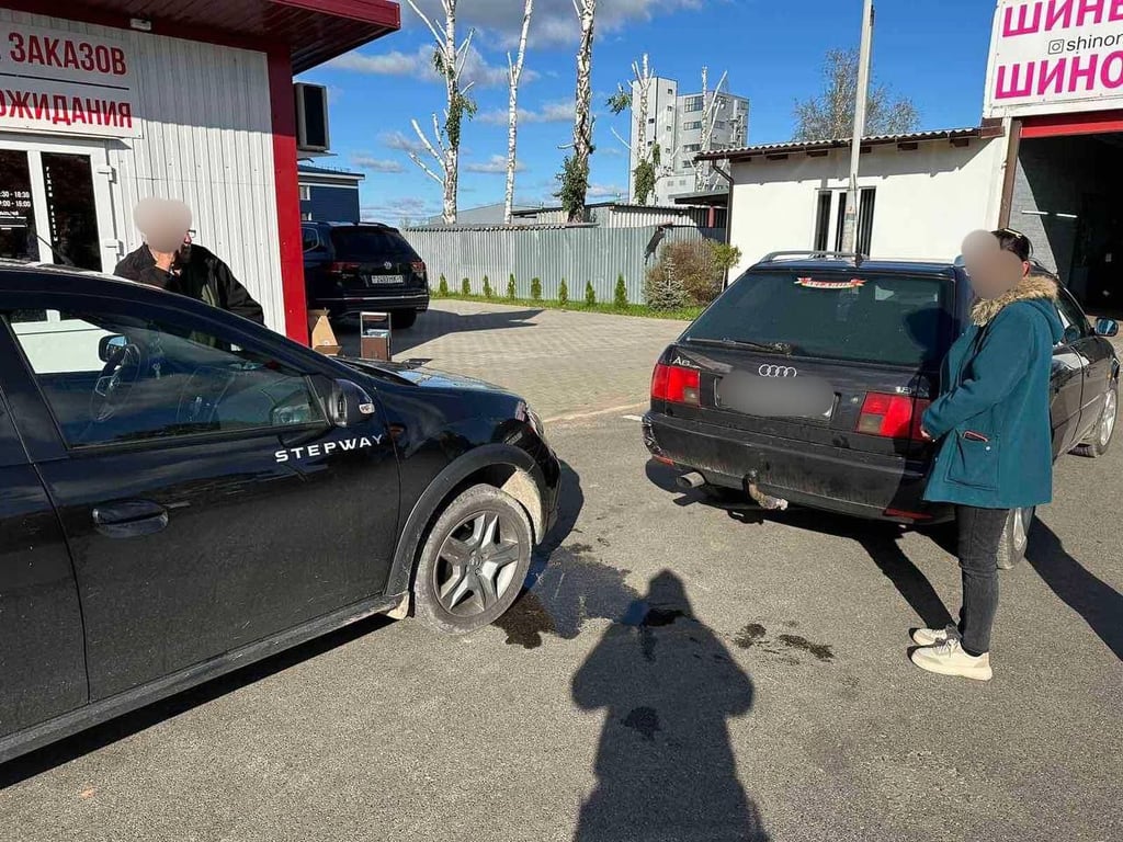 Водитель сбил косулю, выбежавшую на трассу М1 под Брестом