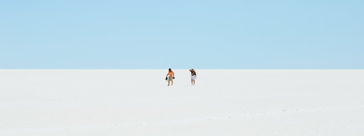 Даже съедобные грибы в этих местах ядовиты. Где белорусам не следует собирать? — Полезно