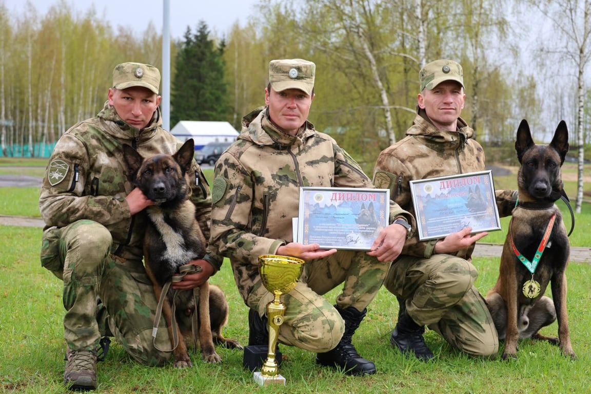 Триумфом брестчан завершились соревнования кинологов