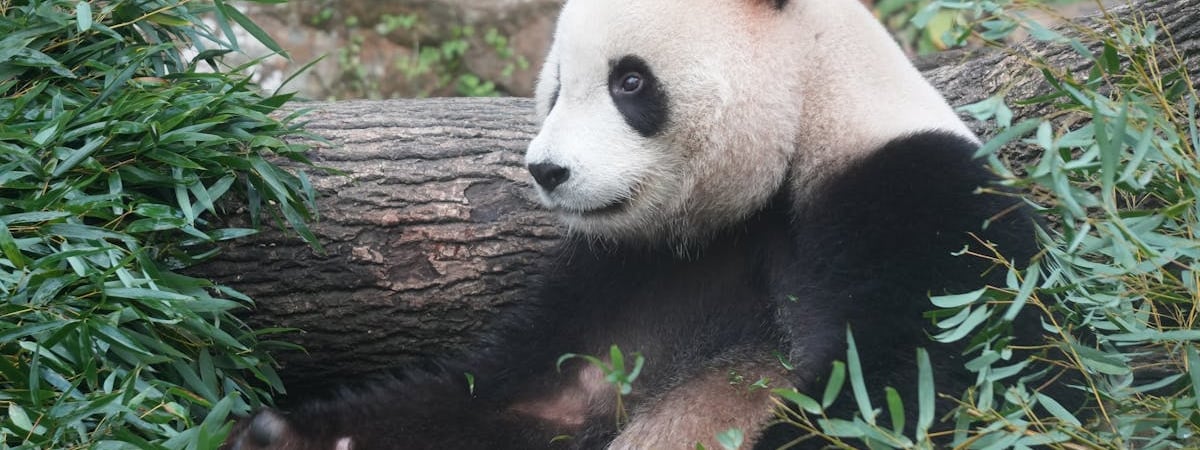 Китай в 2024 году потратил на НИОКР около $500 млрд