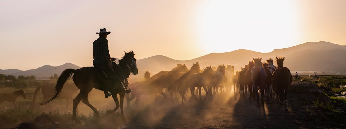 Приостановка Россией ввоза сельхозпродукции из Казахстана может обернуться торговой войной