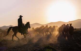 Приостановка Россией ввоза сельхозпродукции из Казахстана может обернуться торговой войной