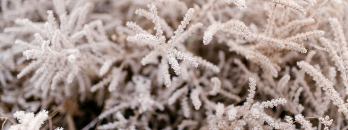 Из-за сильных снегопадов в Турции закрывают школы, есть погибший и пострадавшие