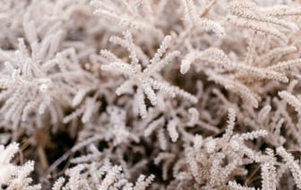 Из-за сильных снегопадов в Турции закрывают школы, есть погибший и пострадавшие