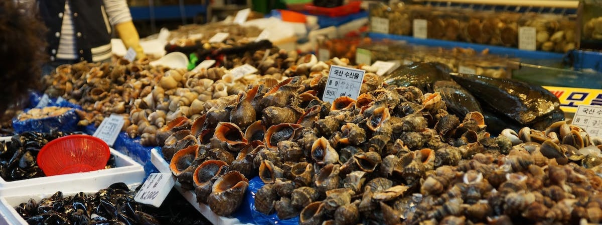 Северная Корея выпустила 200 снарядов в сторону Южной Кореи