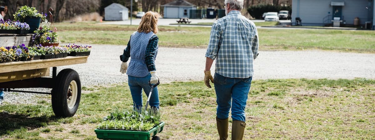 Производство сельхозпродукции в ЕАЭС снизилось на 1,1% в 2023 году