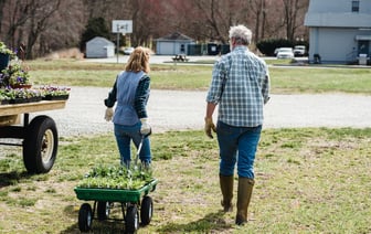 Производство сельхозпродукции в ЕАЭС снизилось на 1,1% в 2023 году