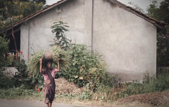 В Могилеве появится возможность автоматизированной оплаты проезда в транспорте