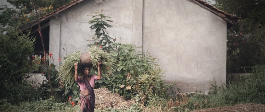 В Могилеве появится возможность автоматизированной оплаты проезда в транспорте