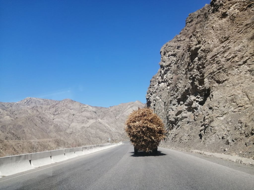 Белорусы посмотрели четыре страны без виз