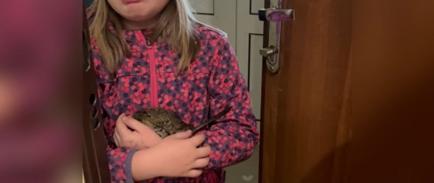 В Бресте ребенок нашел белку Дегу. Читательница просит о помощи