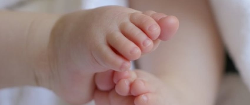 В Беларуси родился Трамп