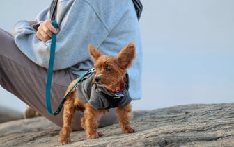 Важно оставаться неравнодушным и отзывчивым. История одного спасения