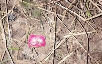 14-летним закладчицам грозит до 15 лет лишения свободы