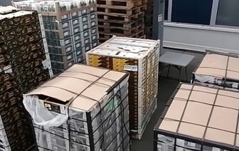 Брестские таможенники установили факт занижения стоимости ввозимых фруктов и ягод