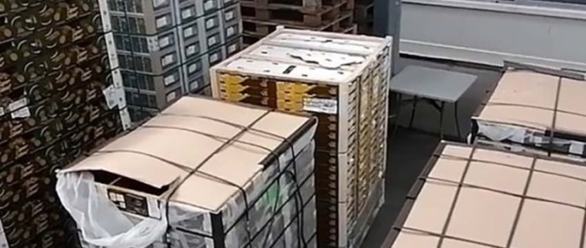 Брестские таможенники установили факт занижения стоимости ввозимых фруктов и ягод