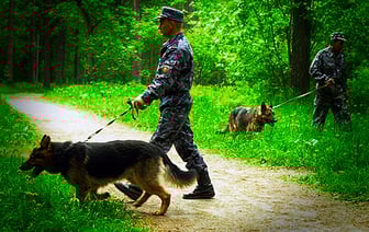 Пенсионер заблудился в Россонском районе, его пока не нашли