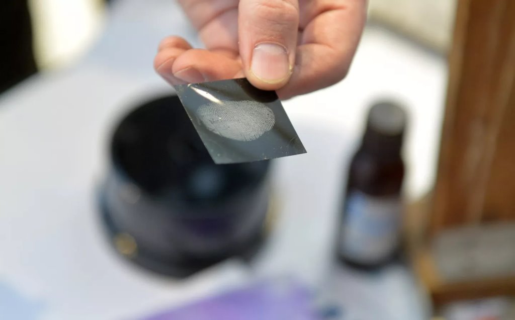 © Sputnik / Виктор Толочко