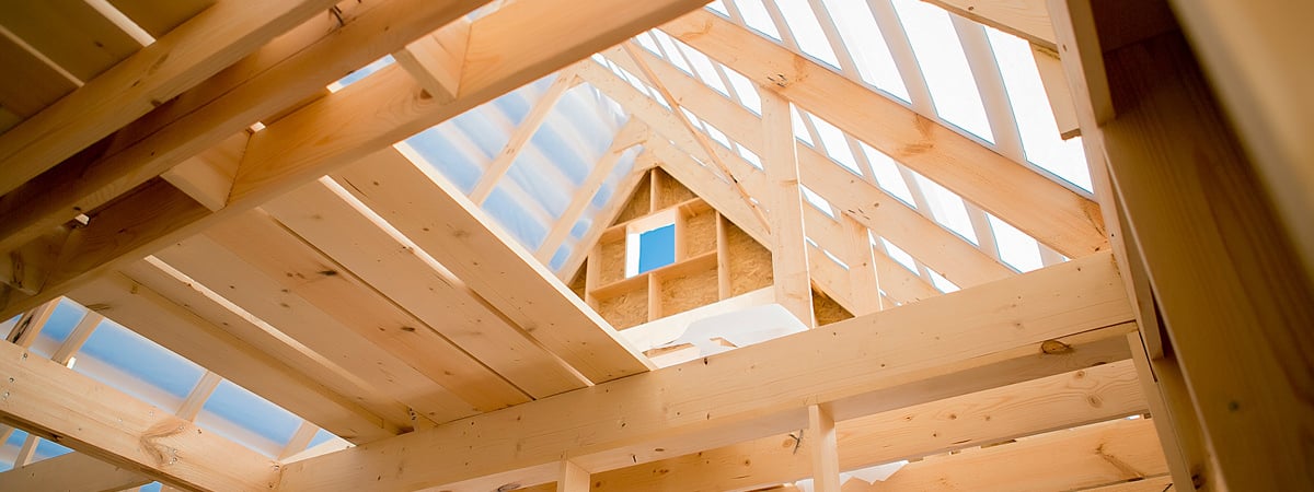 В Минлесхозе показали, как выглядит самый популярный у белорусов деревянный домокомплект. Сколько стоит? — Фото