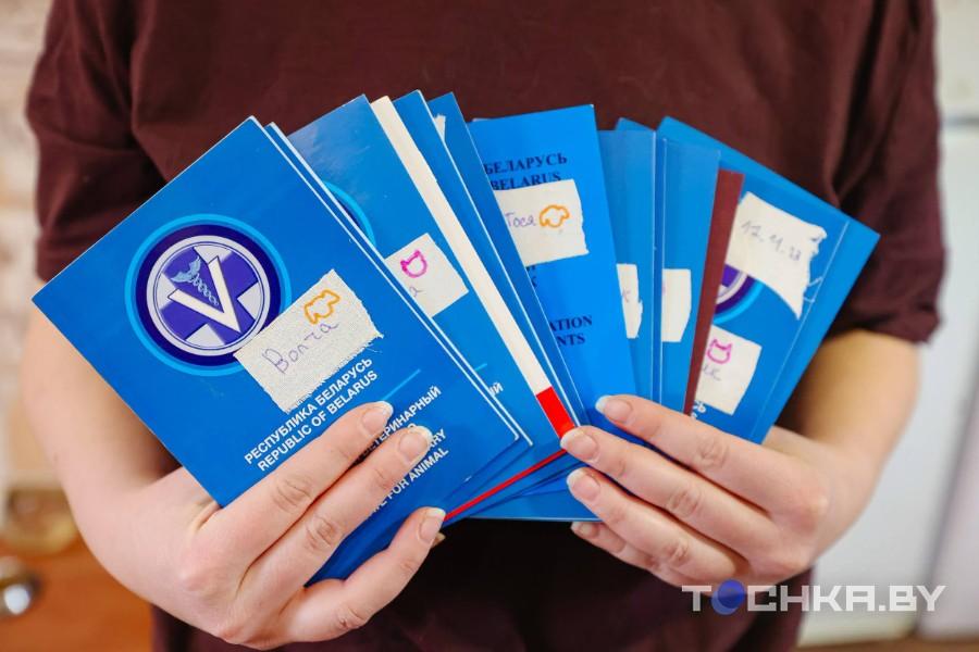 Девушка с инвалидностью спасает парализованных животных и делает им коляски