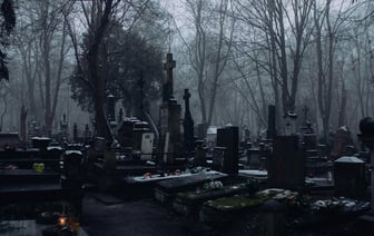 Польша пересмотрит законодательство после трагедии с изнасилованной белоруской