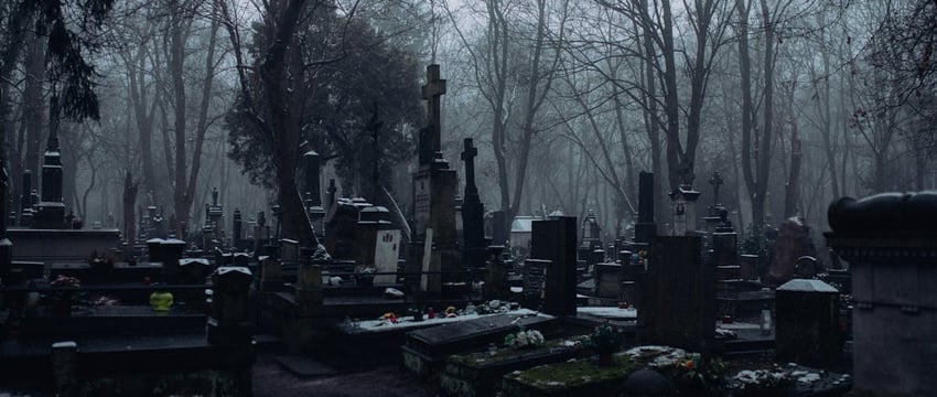 Польша пересмотрит законодательство после трагедии с изнасилованной белоруской