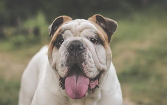 РФ продолжает атаковать Украину ракетами и беспилотниками