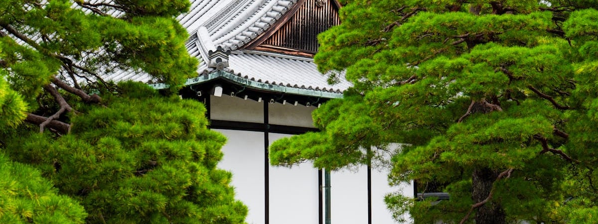 Ученые из Японии создали полностью разлагающийся в морской воде пластик