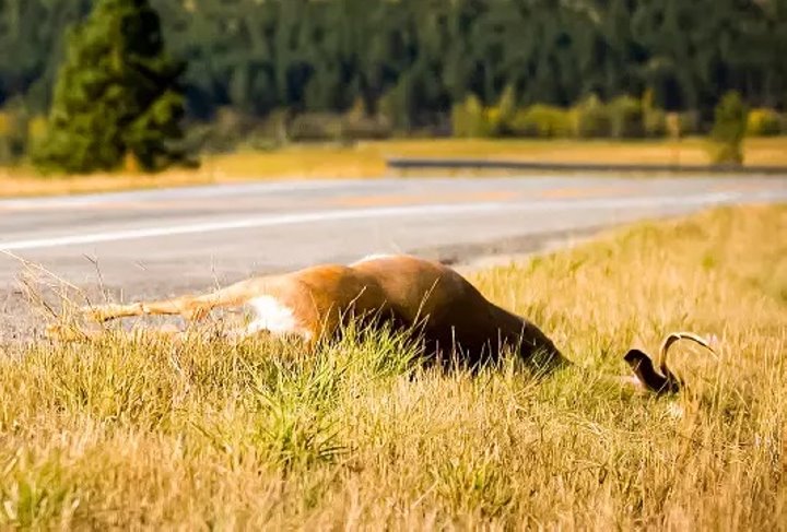 Фото из открытых источников (иллюстративное)