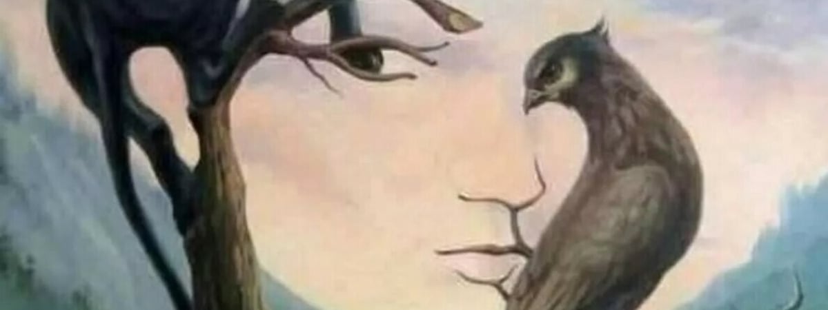 Эта оптическая иллюзия может определить ваши скрытые качества. Что увидели первым? — Полезно