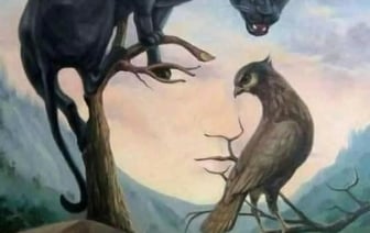 Эта оптическая иллюзия может определить ваши скрытые качества. Что увидели первым? — Полезно