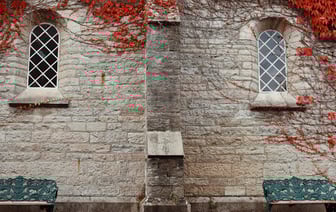 Лукашенко назначил новых замминистров, директоров предприятий и региональных руководителей