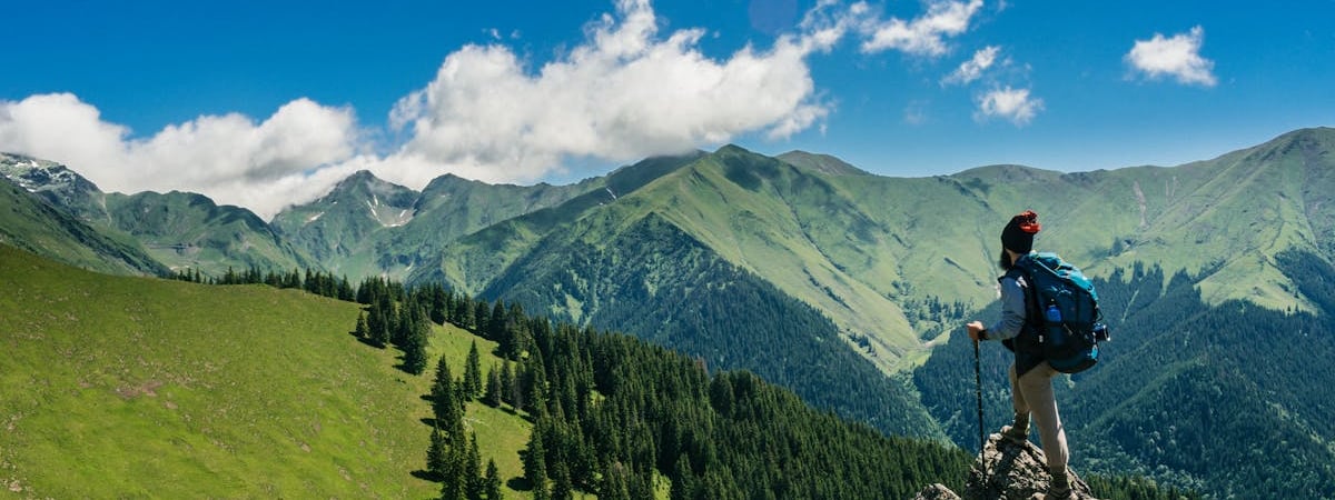 Президент Румынии подал в отставку