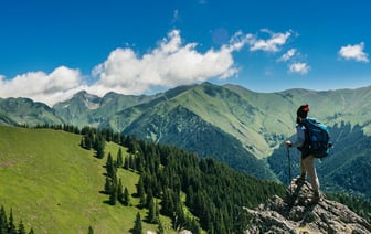 Президент Румынии подал в отставку