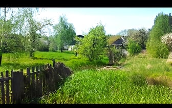 Белорус жалуется на соседа, косившего траву на Пасху