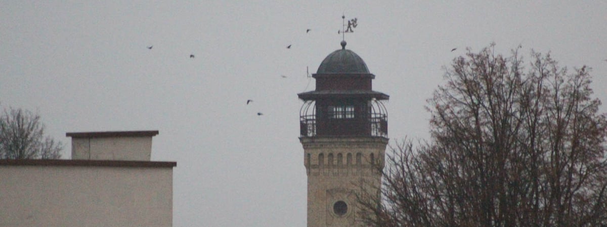 Сильный ветер и до +7 — погода в Гродно на выходные