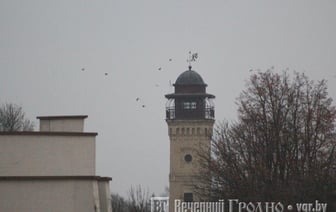 Сильный ветер и до +7 — погода в Гродно на выходные