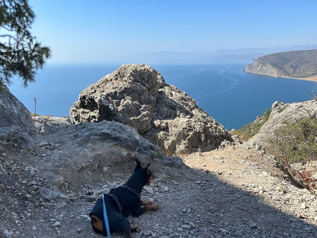 Белорусы рассказали, как дёшево съездили на море на китайском кроссовере