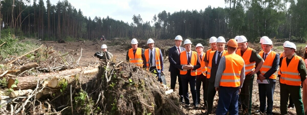 «Не просто собрать дрова» — Головченко поручил лесхозам заработать на прошедшем шторме. Как? — Видео