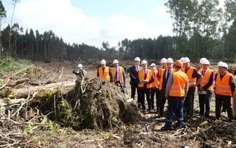 «Не просто собрать дрова» — Головченко поручил лесхозам заработать на прошедшем шторме. Как? — Видео