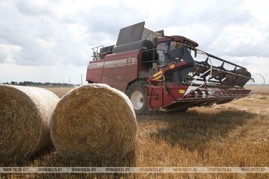 Александр и Елена Лепешко