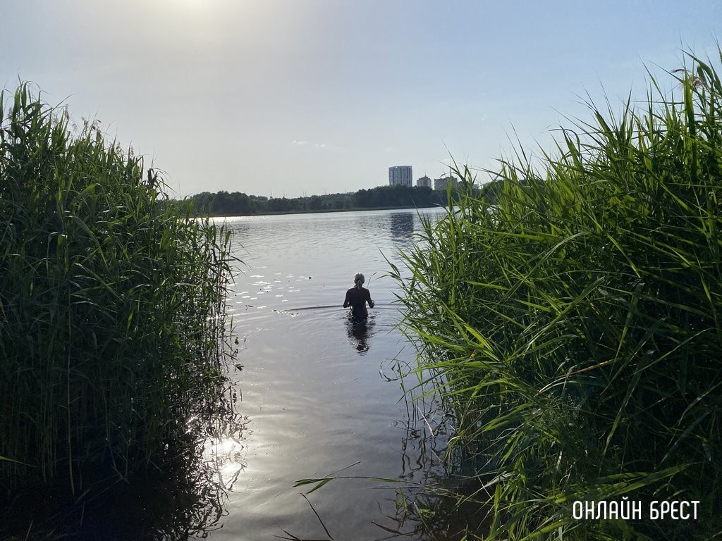 Фото носит иллюстративный характер