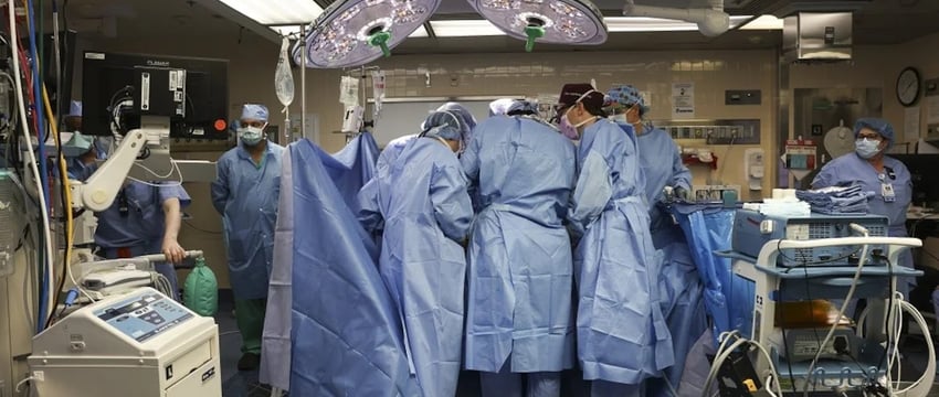 В Китае обнаружен новый вирус, способный поражать мозг