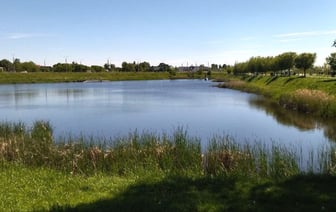 Крупный сом пойман в Гомеле