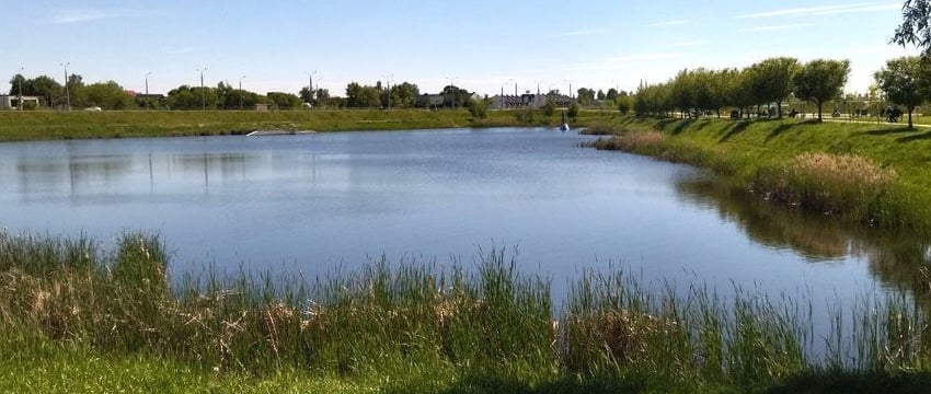 Крупный сом пойман в Гомеле