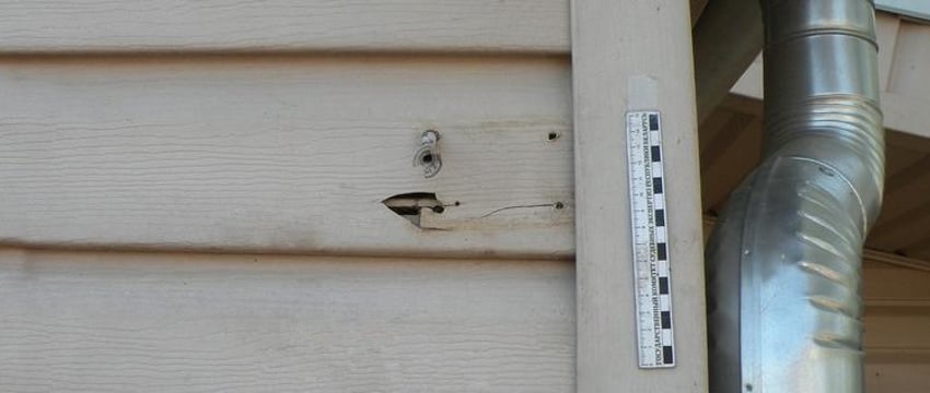 Сорвал госфлаг со здания, чтобы сфотографироваться на память, возбуждено уголовное дело