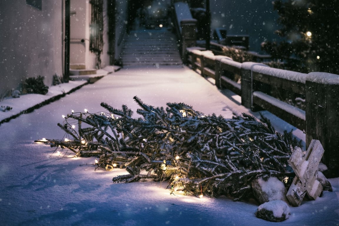 Новогодняя ёлка, рождественская ёлка. Фото pixabay.com