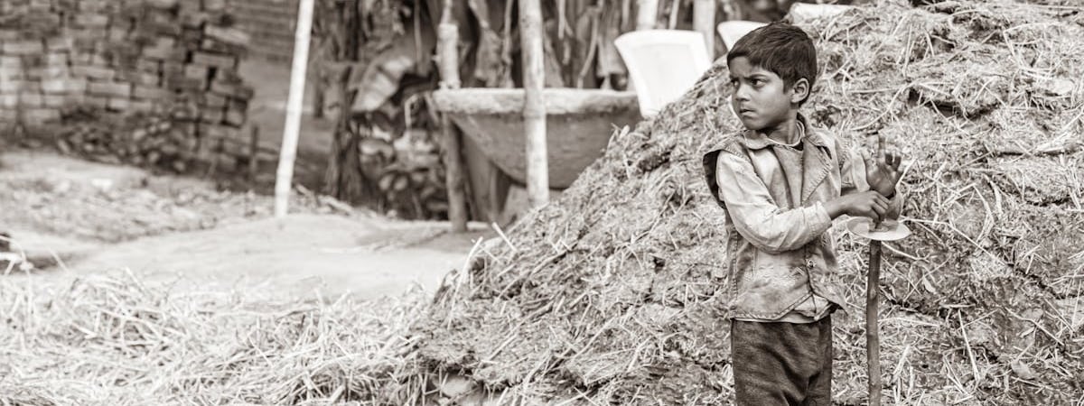 Литва будет проверять зерно из РФ и Беларуси