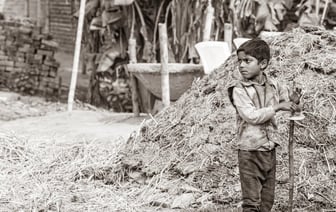 Литва будет проверять зерно из РФ и Беларуси