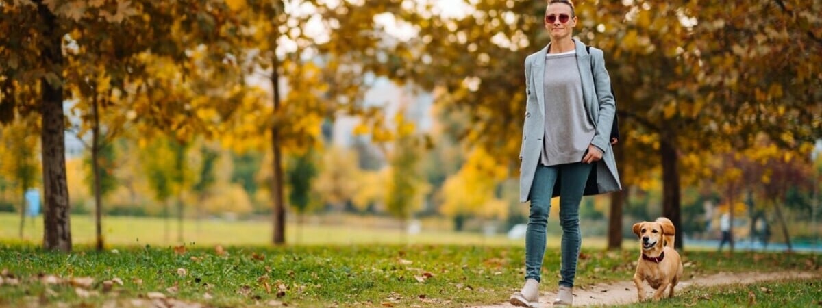 Холодов в октябре не ждать? Синоптики рассказали, когда закончится «положительная аномалия» в Беларуси